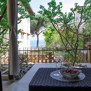https://apartman-nico-volosko-pet-friendly.in-istria.net